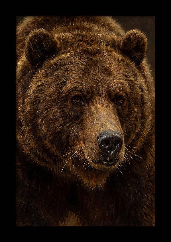 Brown Bear Majesty