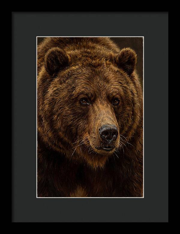 Brown Bear Majesty
