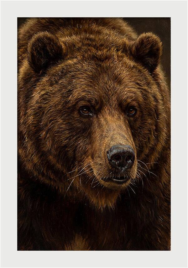 Brown Bear Majesty