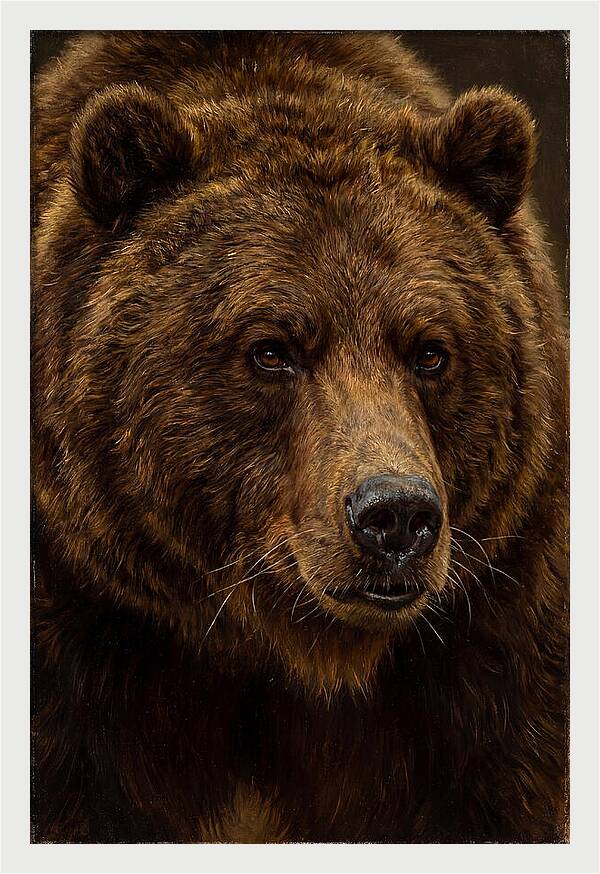 Brown Bear Majesty