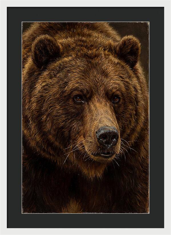 Brown Bear Majesty