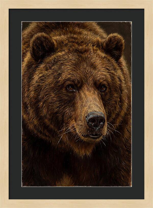 Brown Bear Majesty