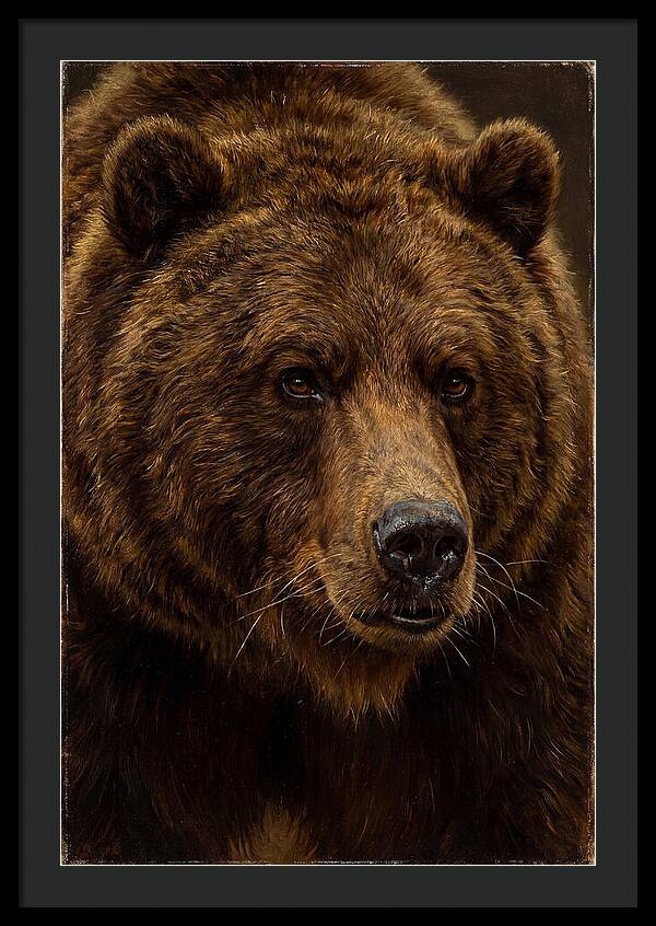 Brown Bear Majesty