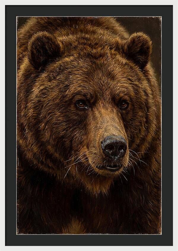 Brown Bear Majesty