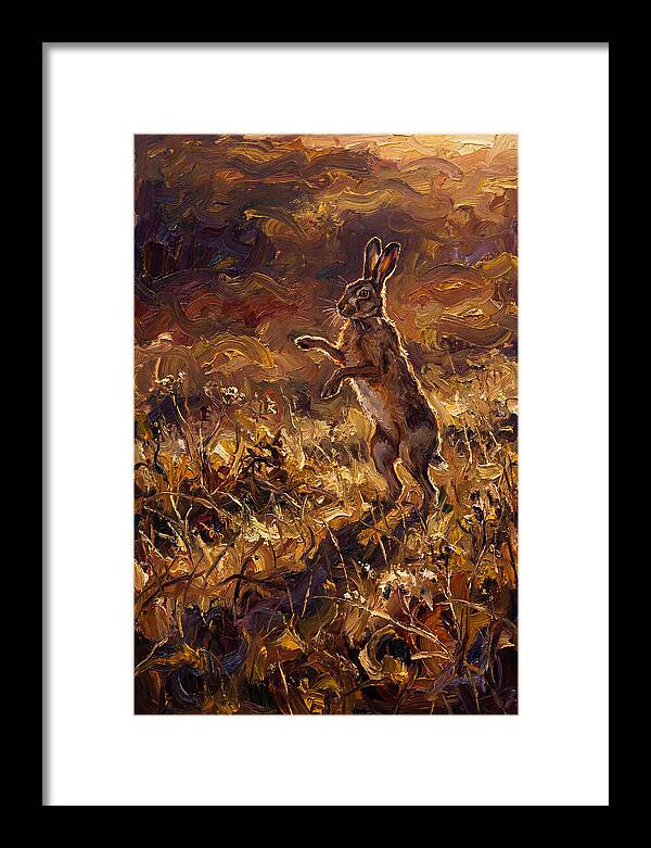 Brown Hare Boxing In Spring Field
