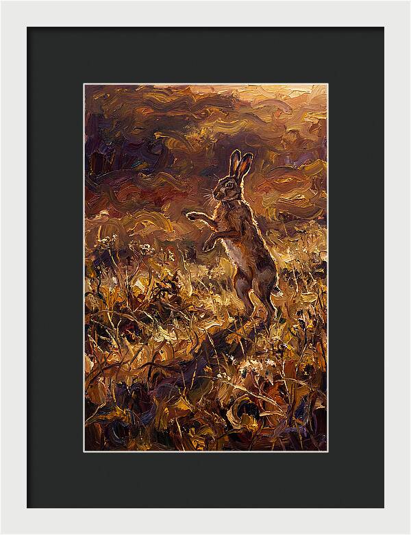 Brown Hare Boxing In Spring Field