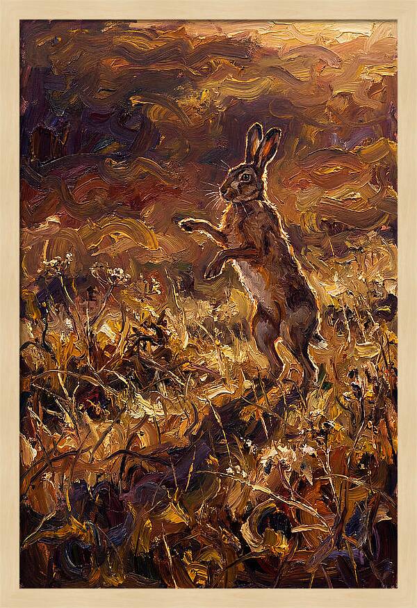 Brown Hare Boxing In Spring Field