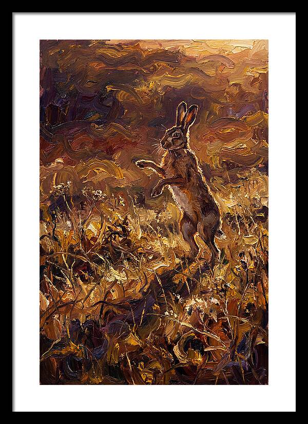 Brown Hare Boxing In Spring Field