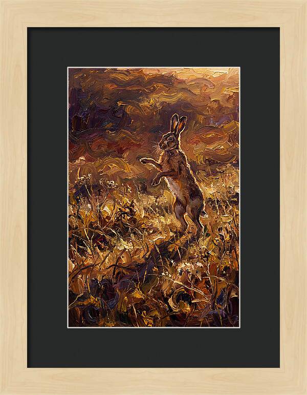 Brown Hare Boxing In Spring Field