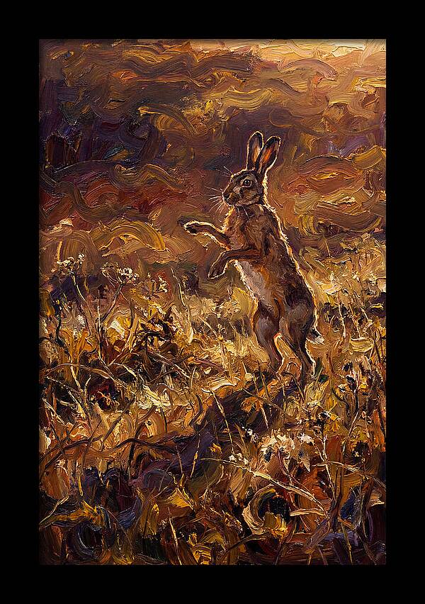 Brown Hare Boxing In Spring Field