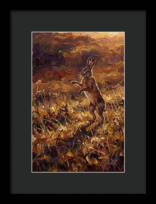 Brown Hare Boxing In Spring Field