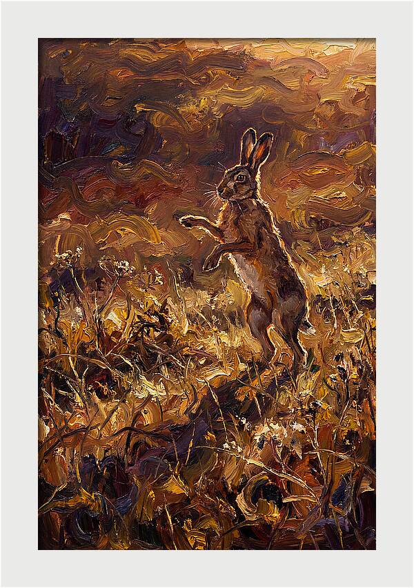 Brown Hare Boxing In Spring Field