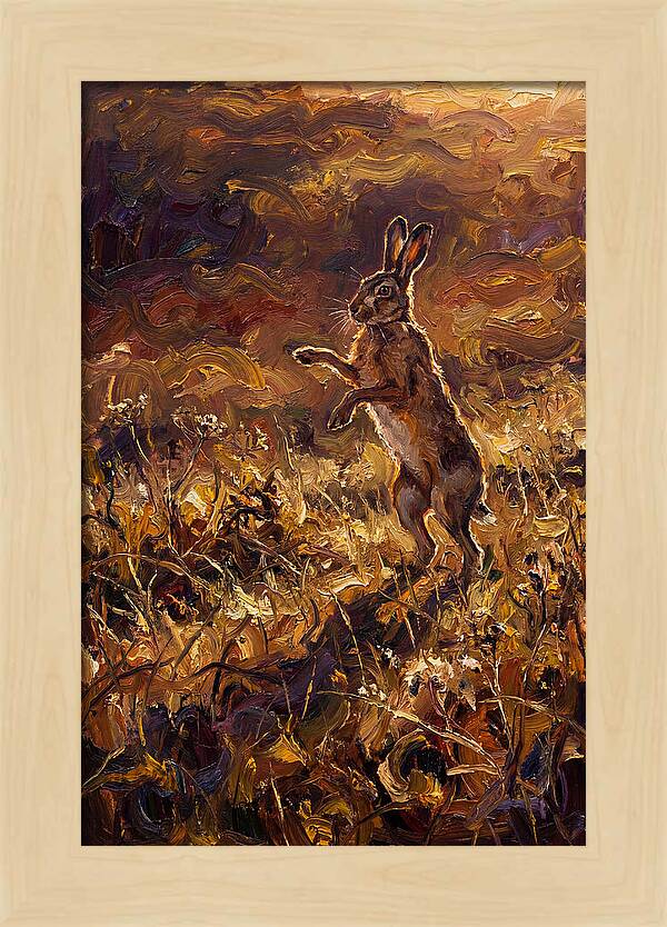 Brown Hare Boxing In Spring Field