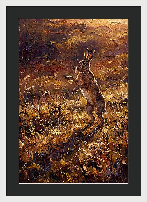 Brown Hare Boxing In Spring Field