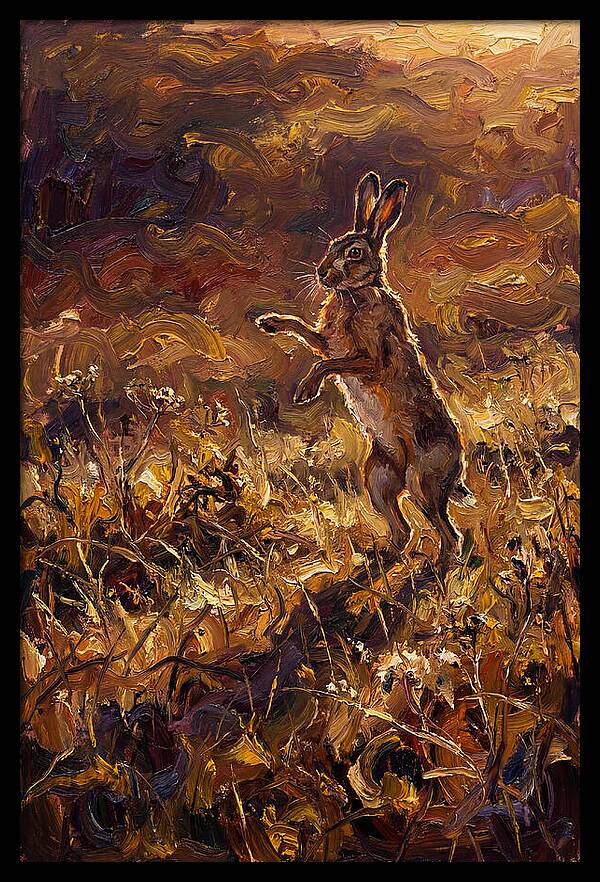Brown Hare Boxing In Spring Field