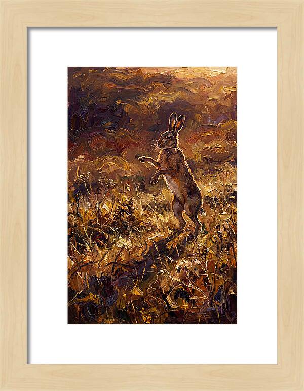Brown Hare Boxing In Spring Field