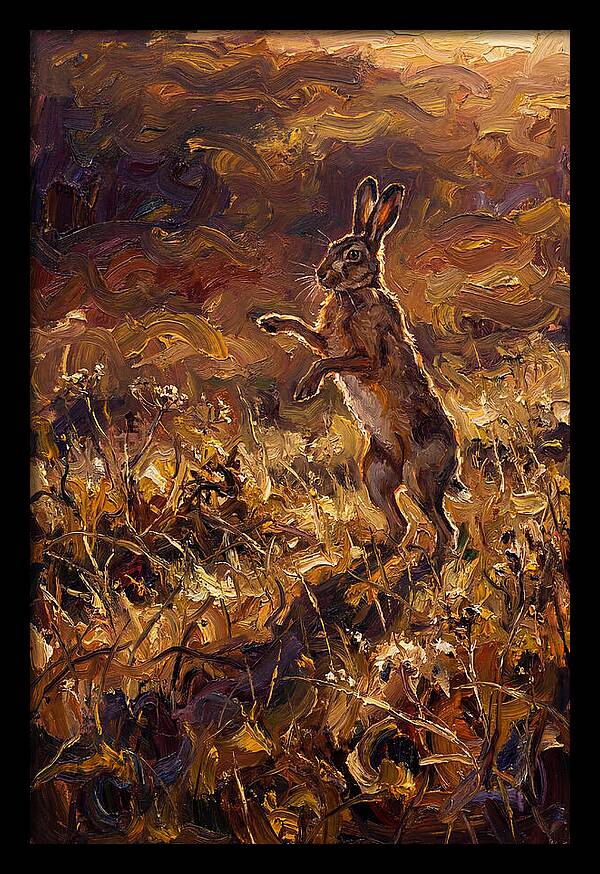Brown Hare Boxing In Spring Field