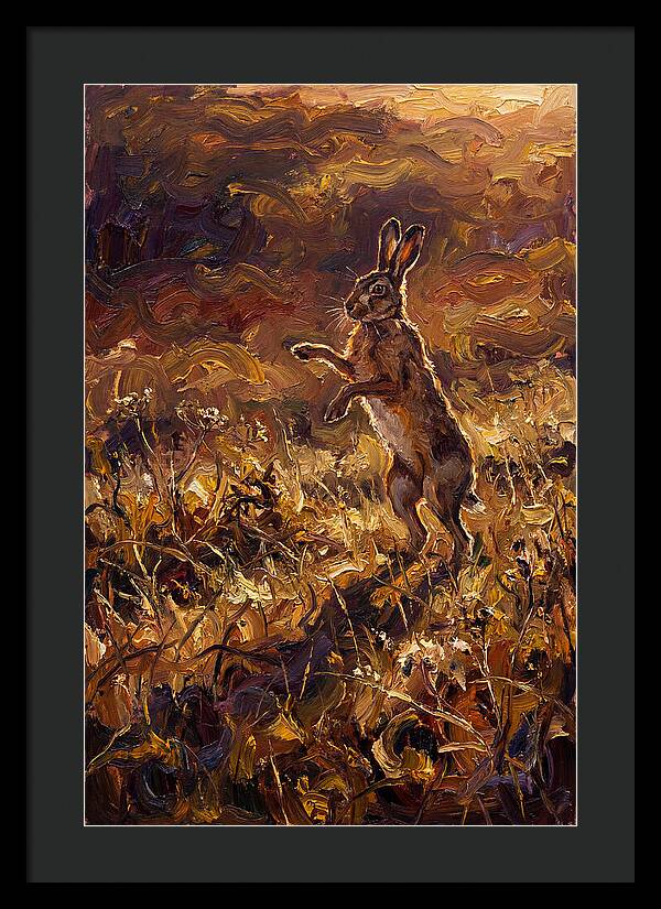 Brown Hare Boxing In Spring Field