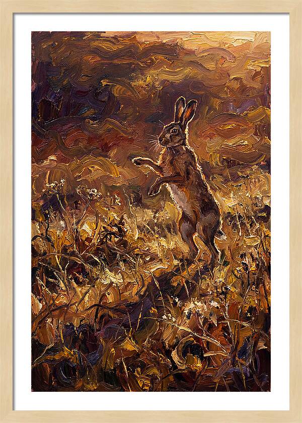 Brown Hare Boxing In Spring Field