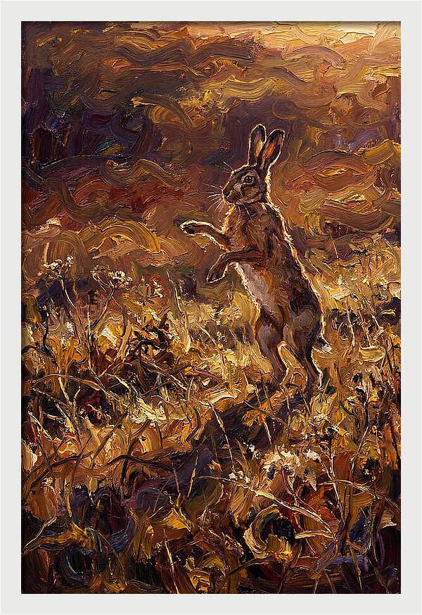 Brown Hare Boxing In Spring Field