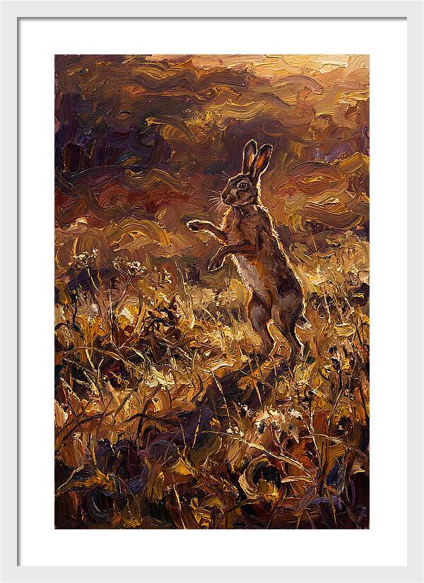 Brown Hare Boxing In Spring Field
