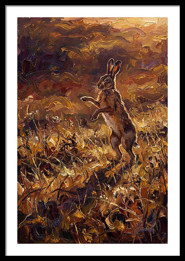 Brown Hare Boxing In Spring Field