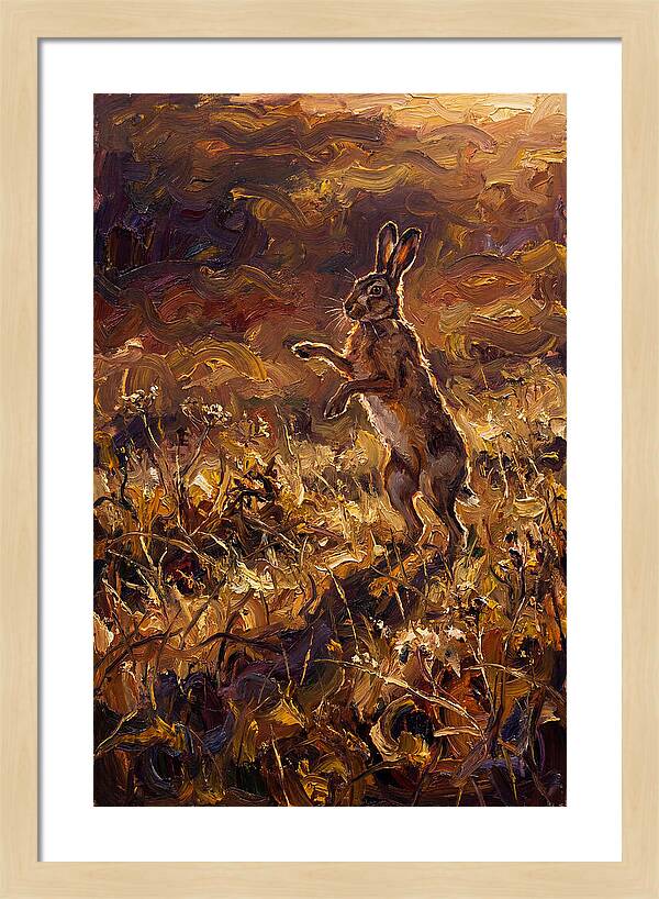 Brown Hare Boxing In Spring Field