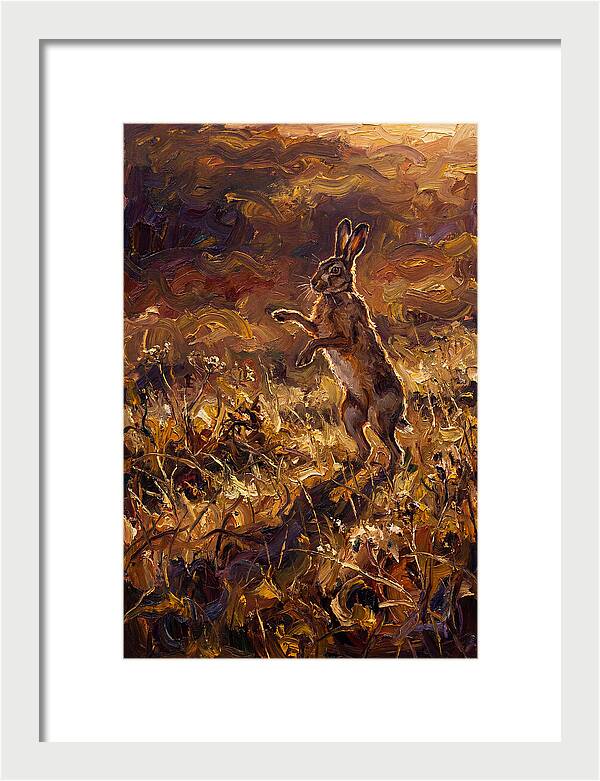 Brown Hare Boxing In Spring Field