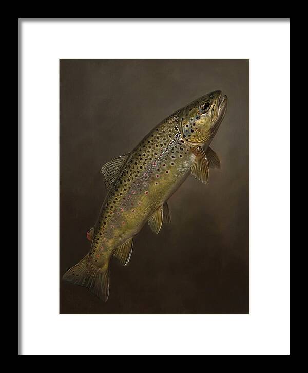 Brown Trout Realism