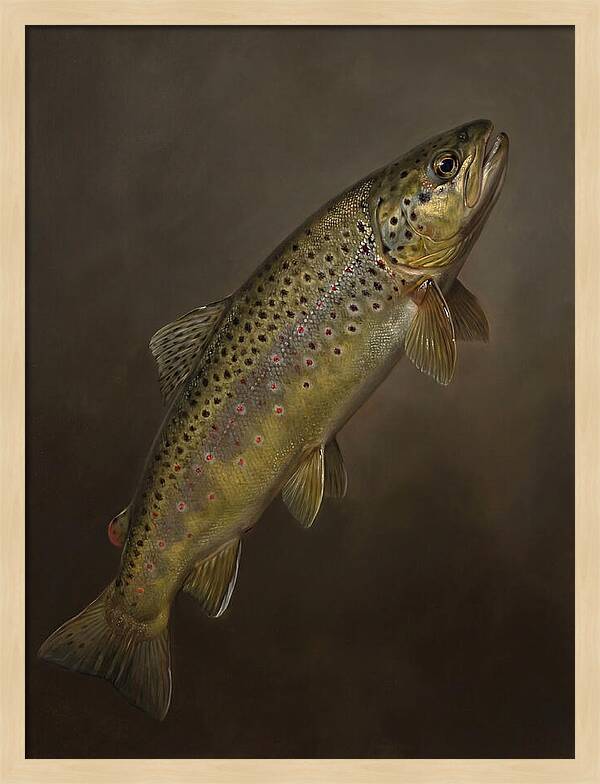Brown Trout Realism