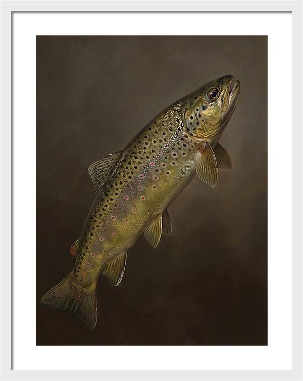 Brown Trout Realism