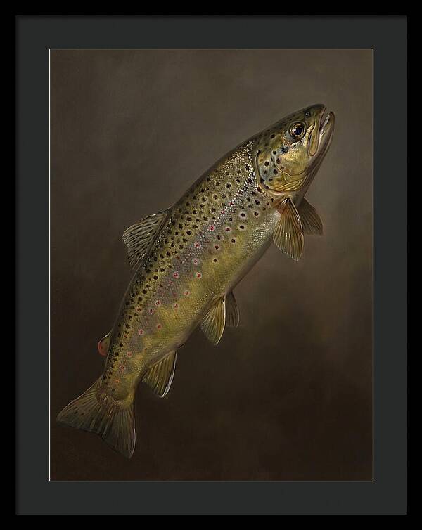 Brown Trout Realism