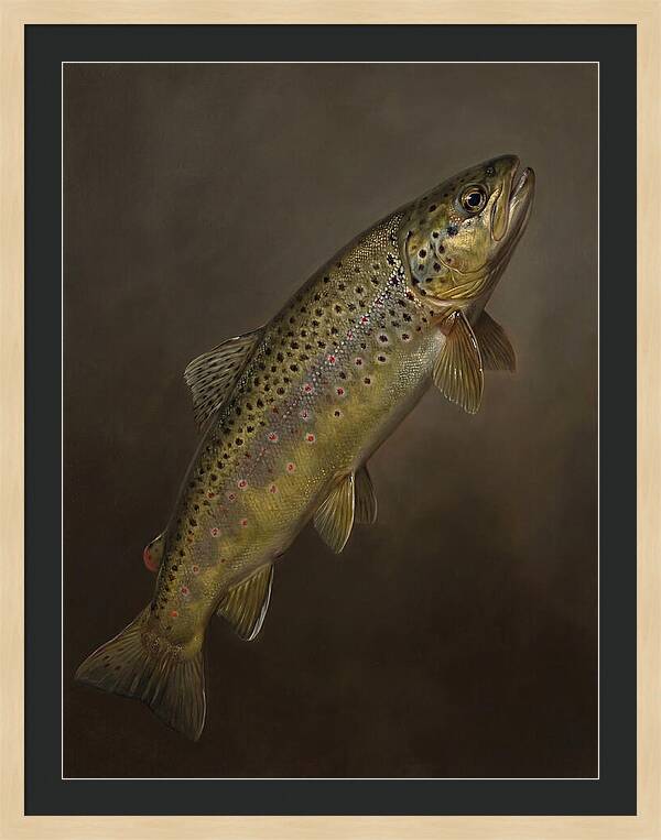Brown Trout Realism