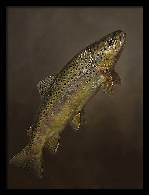 Brown Trout Realism