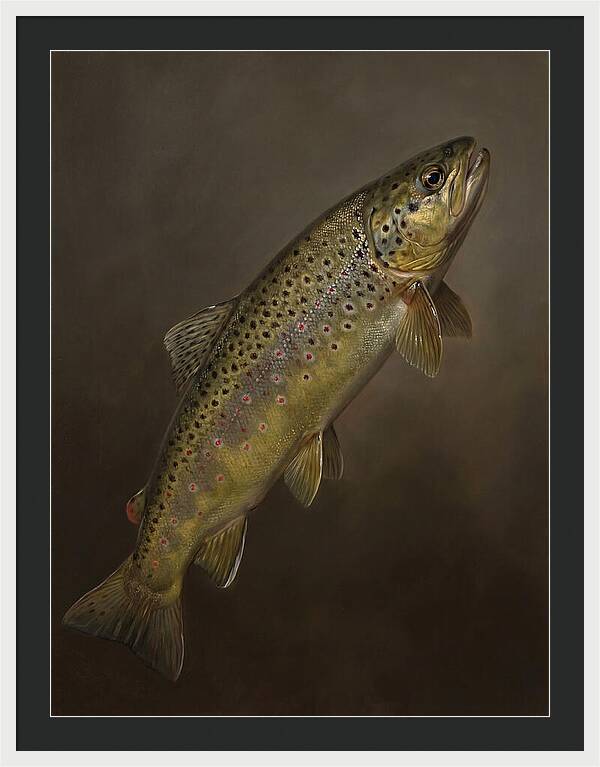 Brown Trout Realism