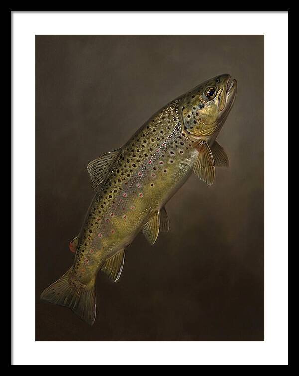 Brown Trout Realism