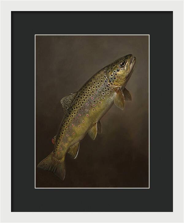 Brown Trout Realism