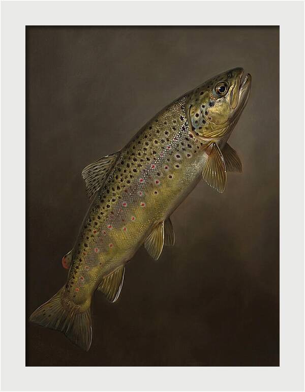 Brown Trout Realism