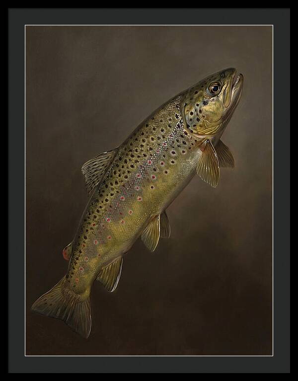 Brown Trout Realism