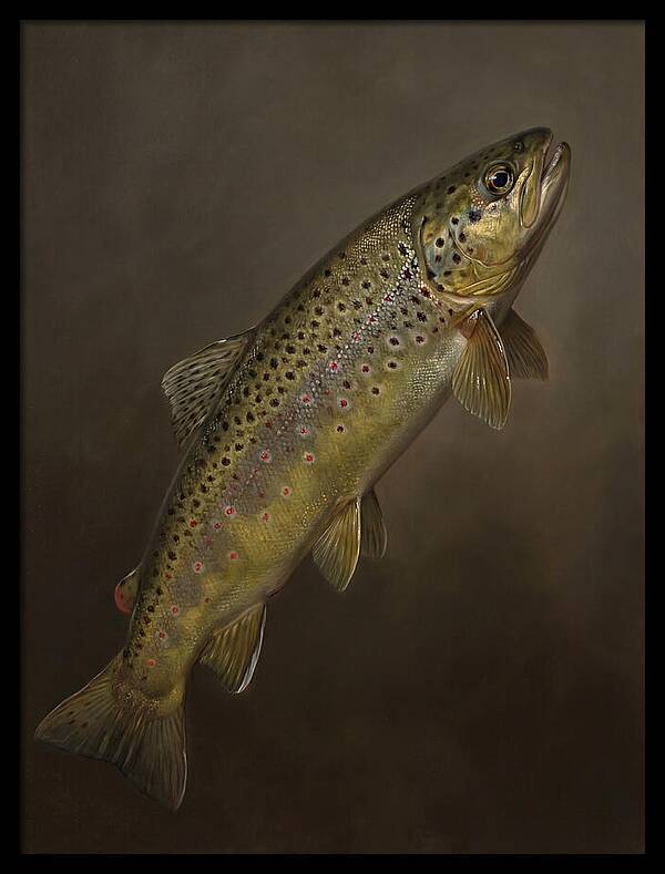 Brown Trout Realism