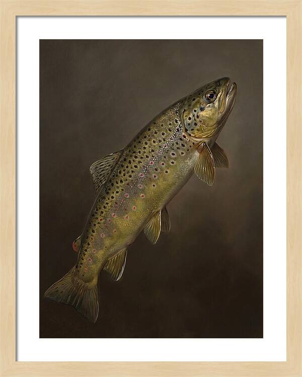 Brown Trout Realism