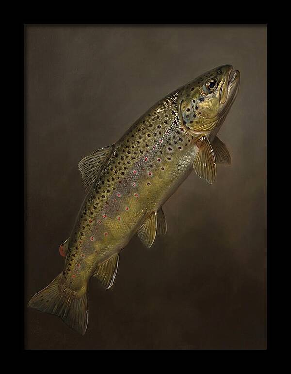 Brown Trout Realism