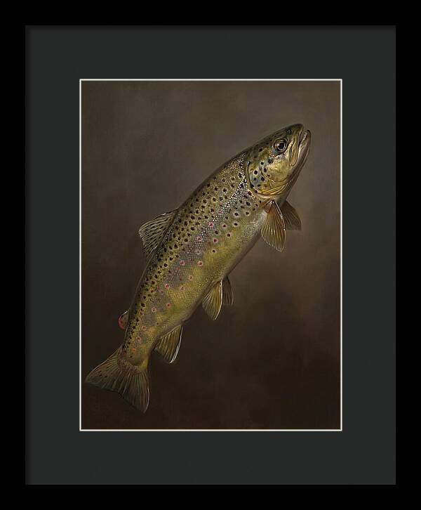 Brown Trout Realism