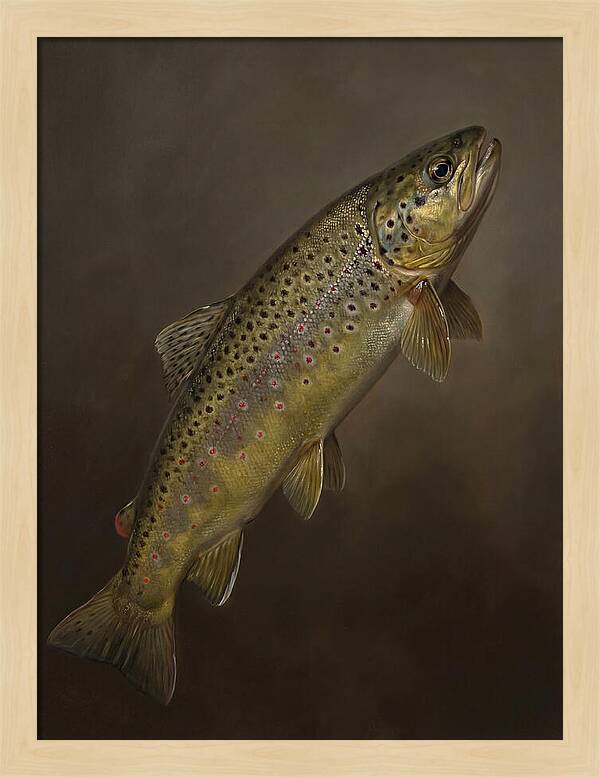 Brown Trout Realism