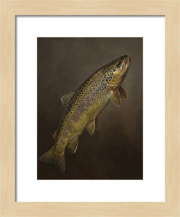 Brown Trout Realism