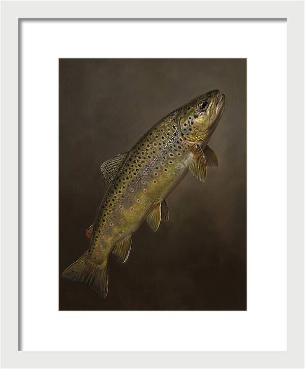 Brown Trout Realism