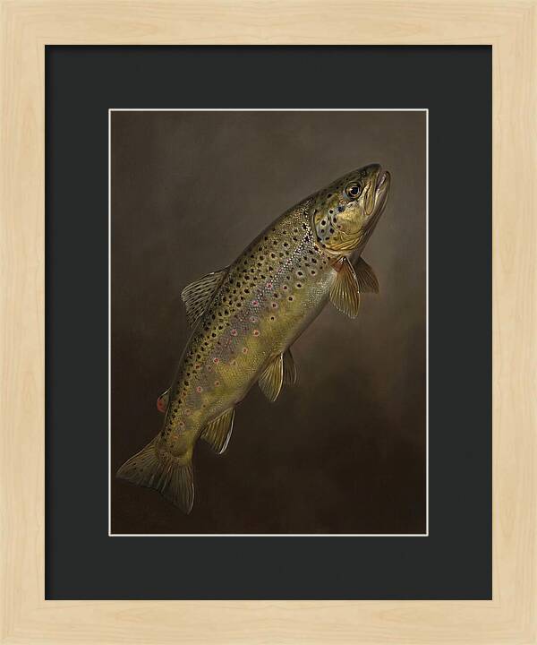 Brown Trout Realism