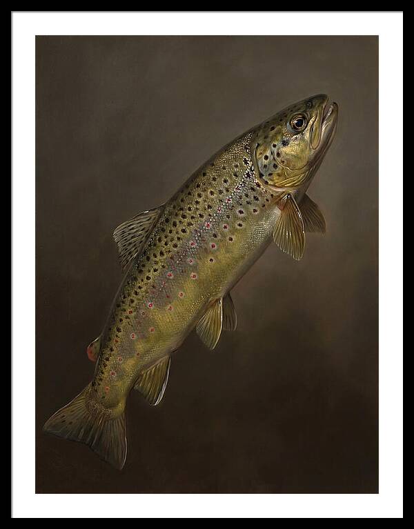 Brown Trout Realism