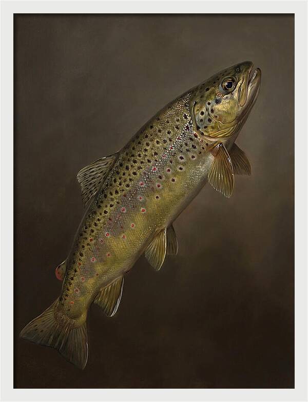 Brown Trout Realism