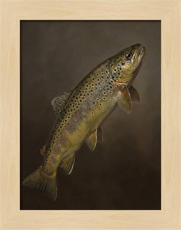 Brown Trout Realism